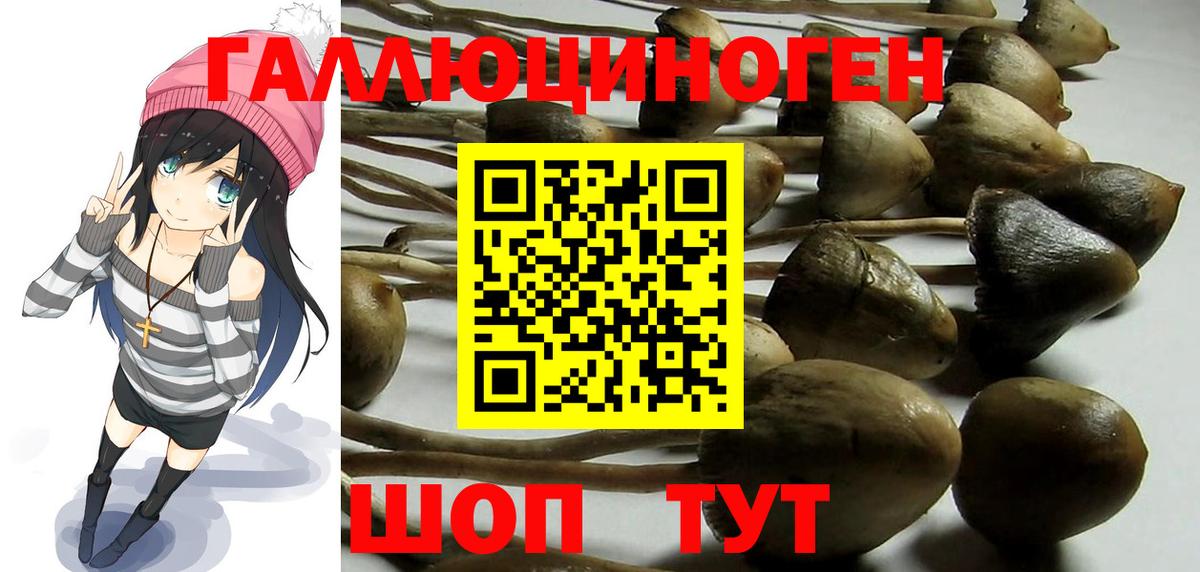 Корсаков  Псилоцибиновые грибы Psilocybine cubensis  Вход с VPN  Галлюциногенные грибы Psilocybine cubensis 